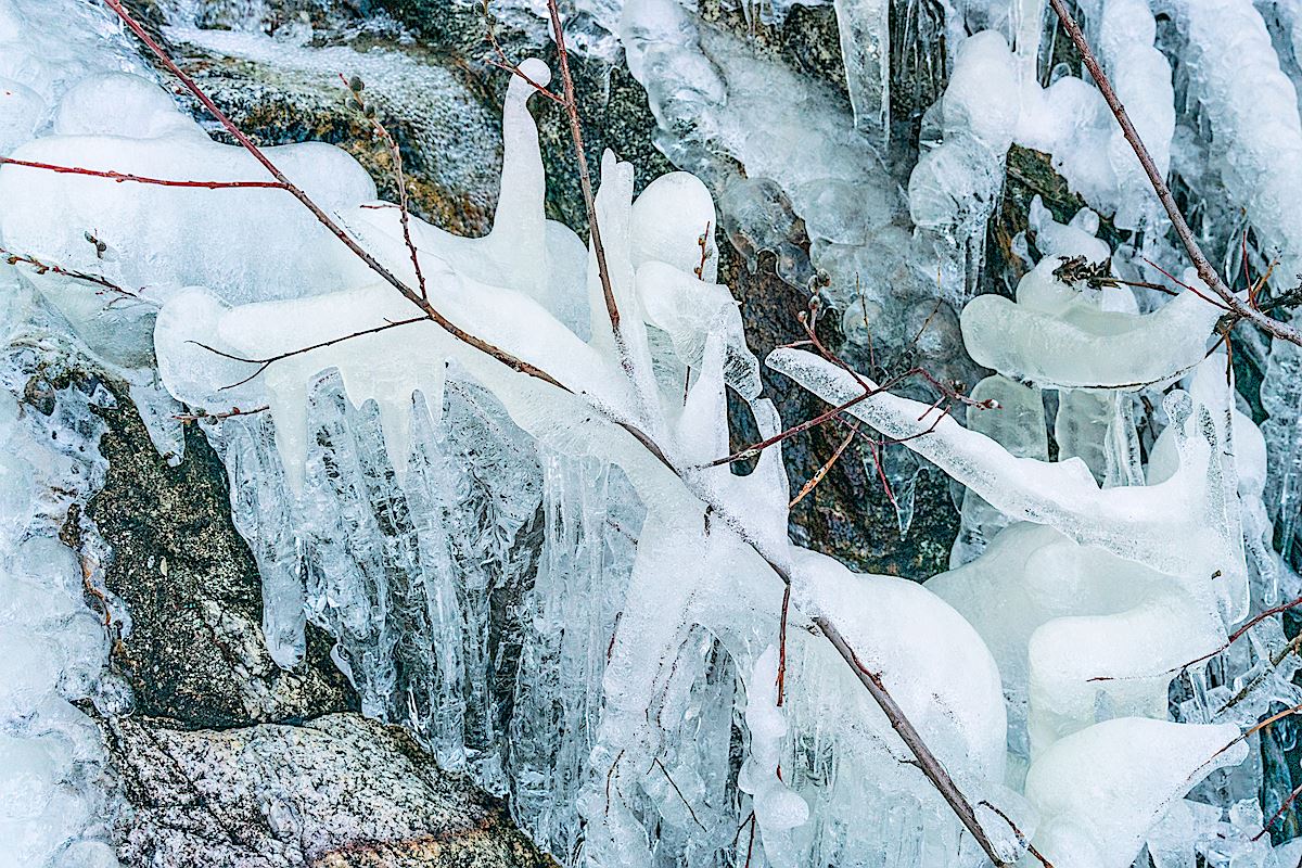 Ice along the Knagge Trail. February 2019.